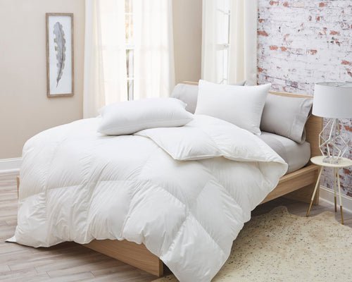 Premium Batiste White Goose Down Comforter - The clever Shelf